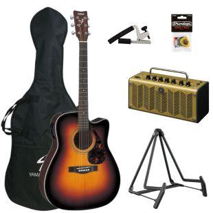 FX370 Electro Acoustic Guitar Pack