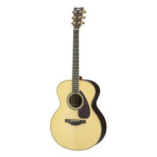 LJ16 ARE Acoustic Guitar