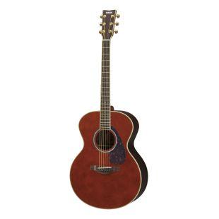 LJ6 ARE Acoustic Guitar