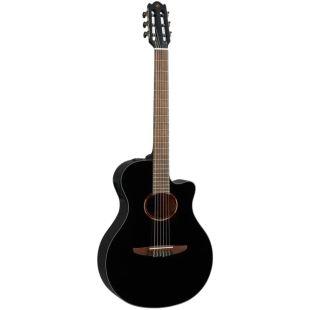 A Grade Refurbished NTX1 Electro-Classical Guitar