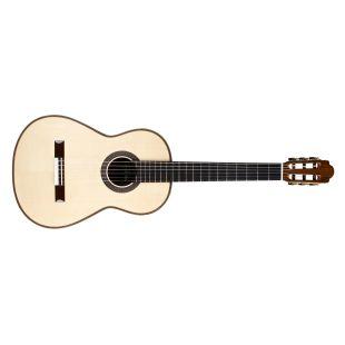 Torres SP/IN Acoustic Guitar