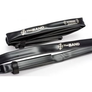 'The Band' Violin Pickup