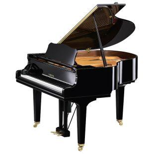 DGCB ENST Disklavier ENSPIRE Compact Grand Piano