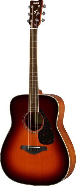 FG820 MKII Acoustic Guitar
