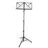 Fold-up Sheet Music Stand in Bag
