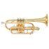 Student model in Gold lacquer finish - Medium Large bore, with case