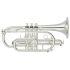Student model in Silver-plated finish - Medium Large bore, with case
