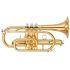 Intermediate model in Gold Lacquer finish - Medium Large bore, with case