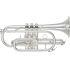 Professional model in Silver-plated finish - Large bore, with case