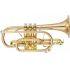 Custom Neo Series in Clear lacquer finish - Large bore, Gold Brass bell, includes case