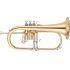 Professional Model in Clear Lacquer finish - Medium Small bore with Gold Brass bell. Includes Case