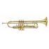 Professional model in Gold lacquer finish - Medium Large bore