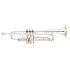 Professional model in Silver-plated finish - Medium Large bore