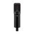 Large Diaphragm Condenser Microphone in Black