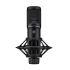 Large Diaphragm Condenser Microphone in Black