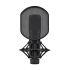 Large Diaphragm Condenser Microphone in Black