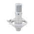 Large Diaphragm Condenser Microphone in White