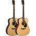 FG9 X Acoustic Guitar - Made in Japan