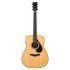 FG9 X Acoustic Guitar - Made in Japan