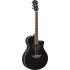 A Grade Refurbished APX600 Electro-Acoustic Guitar In Black Finish