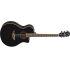 C Grade Refurbished APX600 Electro-Acoustic Guitar In Black Finish
