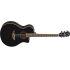 APX600 Electro-Acoustic Guitar In Black Finish