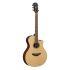 A Grade Refurbished APX600M Electro-Acoustic Guitar