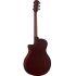 A Grade Refurbished APX600M Electro-Acoustic Guitar