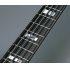 BBNE2 Nathan East Signature 5-String Bass Guitar