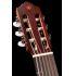 CG122MC solid Cedar top classical guitar