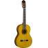 CG-TA TransAcoustic Classical Guitar