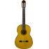 CG-TA TransAcoustic Classical Guitar