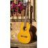 CGX122MS  Electro-Classical Guitar
