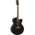 CPX600 Electro-Acoustic Guitar In Black Finish