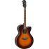 CPX600 Electro-Acoustic Guitar In Old Violin Sunburst Finish