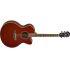 CPX600 Electro-Acoustic Guitar In Root Beer Finish