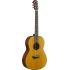 A Grade Refurbished CSF-TA TransAcoustic Parlour Guitar