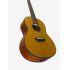 A Grade Refurbished CSF-TA TransAcoustic Parlour Guitar