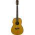 A Grade Refurbished CSF-TA TransAcoustic Parlour Guitar