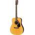 F370 Black Acoustic Guitar Package