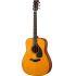 FG5G Red Label Acoustic Guitar - Made in Japan