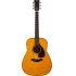 FG5G Red Label Acoustic Guitar - Made in Japan