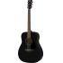 DISCONTINUED FG800 Acoustic Guitar Package