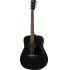 FG 800 Acoustic Guitar Pack In Black Finish