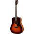 FG 800 Acoustic Guitar Pack In Brown Sunburst Finish