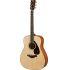 DISCONTINUED FG800M Acoustic Guitar