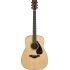 DISCONTINUED FG800M Acoustic Guitar