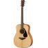 FG 800 Acoustic Guitar Pack In Natural Finish