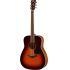 FG820 MKII Acoustic Guitar