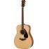 FG820 Acoustic Guitar